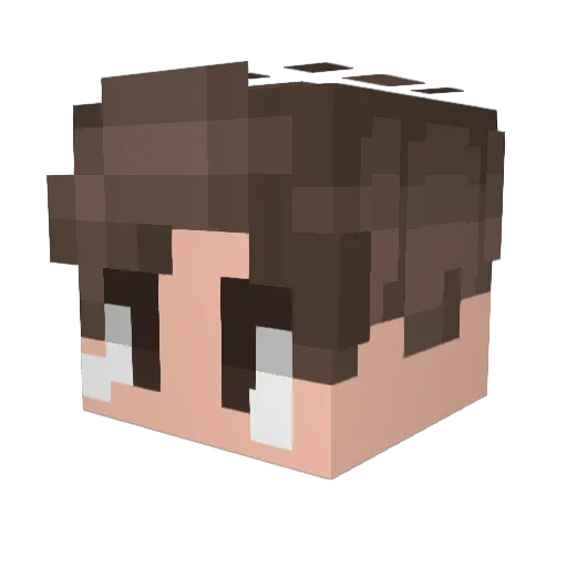 Dodoruk Minecraft avatar head, 3D render