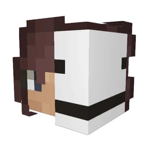 DoeOffline Minecraft avatar head, 3D render