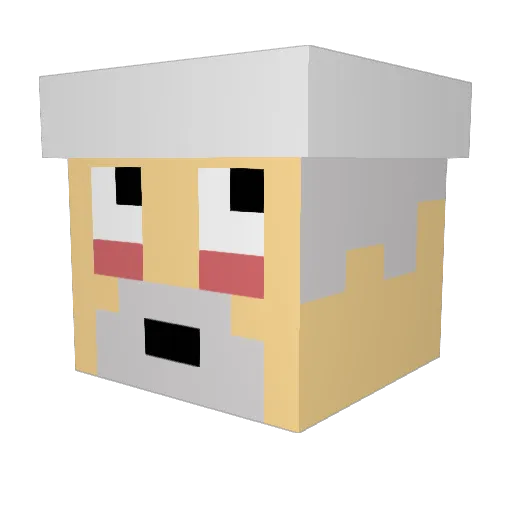 Doelz Minecraft avatar head, 3D render
