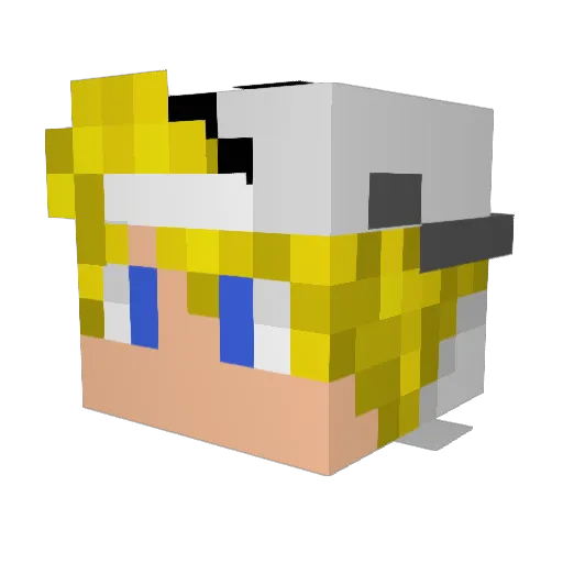 Doemaarpatatje Minecraft avatar head, 3D render