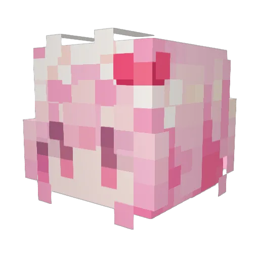 Doepg630 Minecraft avatar head, 3D render