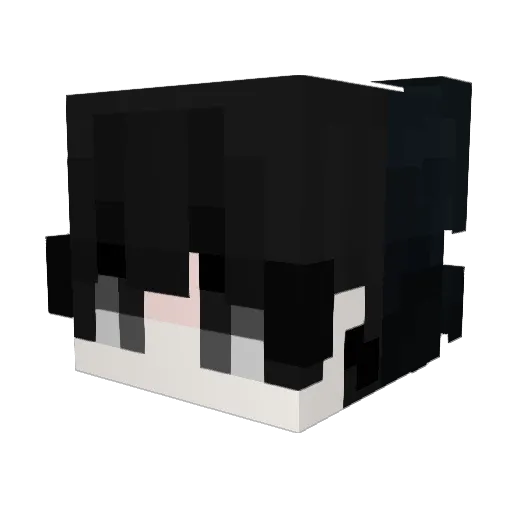 DoesMyNameMatter Minecraft avatar head, 3D render