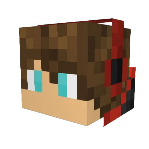 Dofctroc_14 Minecraft avatar head, 3D render