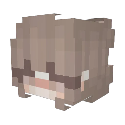 Dofuslap Minecraft avatar head, 3D render