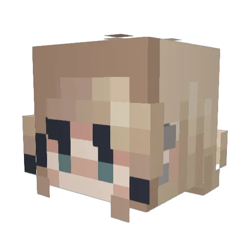 DogBite2525 Minecraft avatar head, 3D render