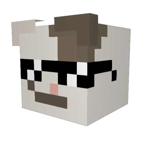 DogBot1 Minecraft avatar head, 3D render