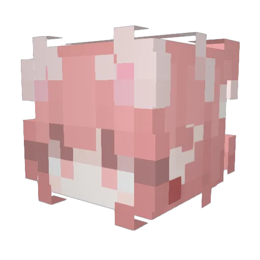 DogBower Minecraft avatar head, 3D render