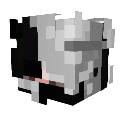 DogBytes00 Minecraft avatar head, 3D render