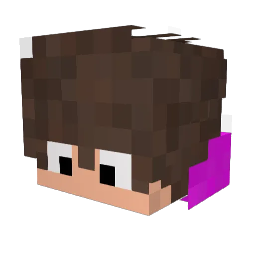DogDaThiaga Minecraft avatar head, 3D render