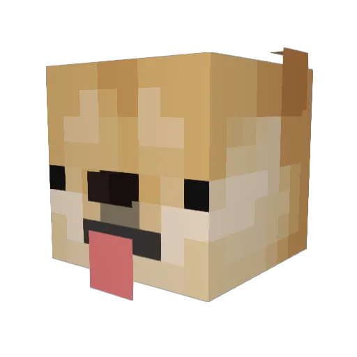 DogDaddy42 Minecraft avatar head, 3D render