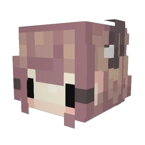 DogFunCity Minecraft avatar head, 3D render