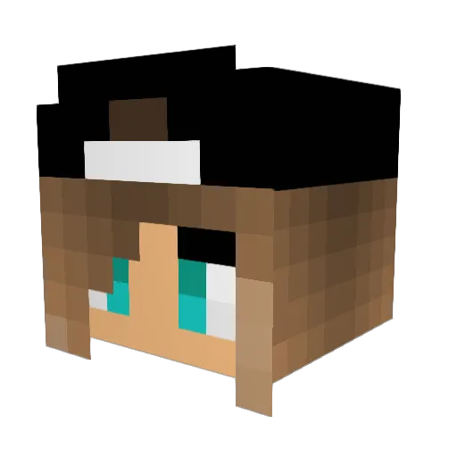 DogGalaxy5 Minecraft avatar head, 3D render