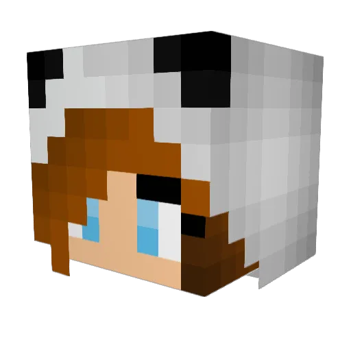 DogGoesMoo Minecraft avatar head, 3D render