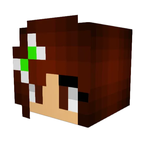 DogLover080807 Minecraft avatar head, 3D render