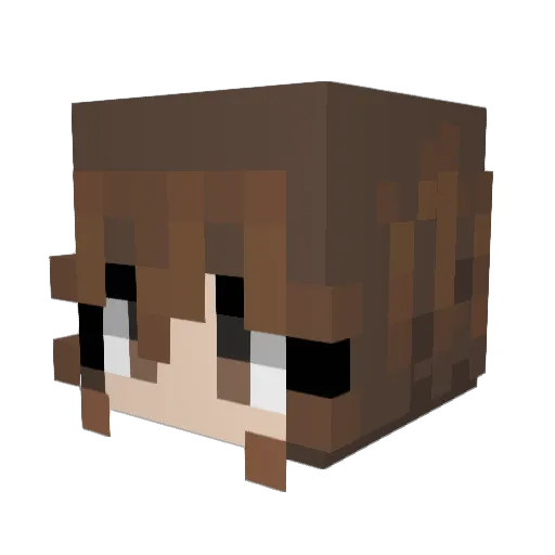 DogLoverGirl315 Minecraft avatar head, 3D render