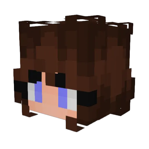 DogMom55 Minecraft avatar head, 3D render