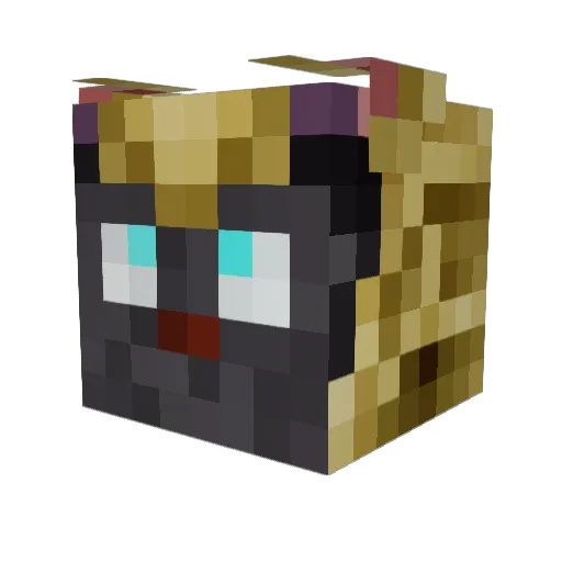 DogNinja_ Minecraft avatar head, 3D render