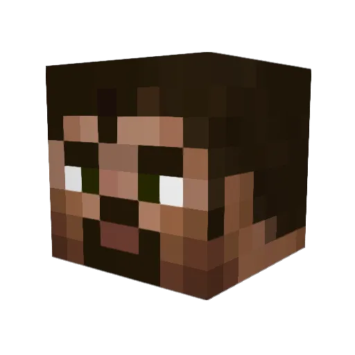 DogPenguin Minecraft avatar head, 3D render
