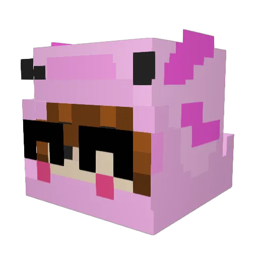 DogSc0tt Minecraft avatar head, 3D render