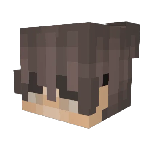 DogTop4822 Minecraft avatar head, 3D render