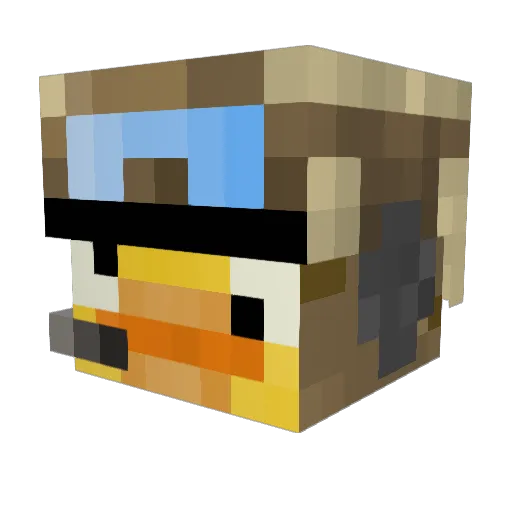 DogWhisperer2020 Minecraft avatar head, 3D render