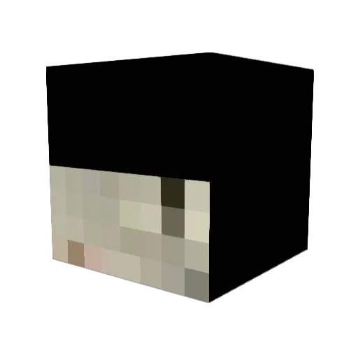 DogWithALongNose Minecraft avatar head, 3D render
