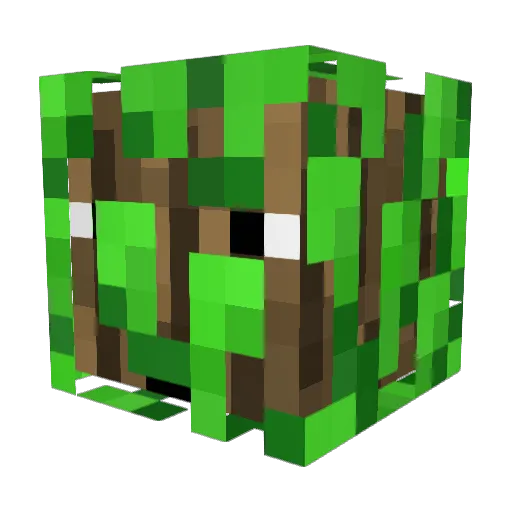 DogWoods Minecraft avatar head, 3D render