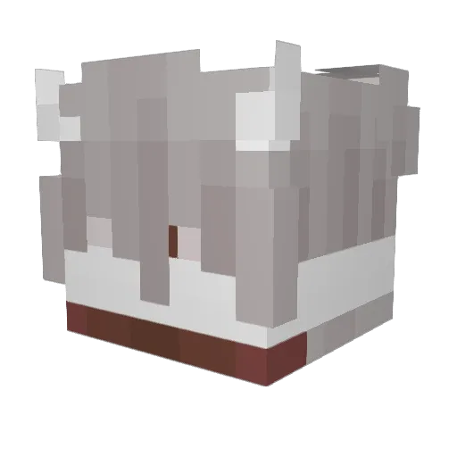 Dogblx12 Minecraft avatar head, 3D render