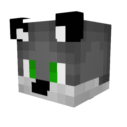 Dogboy076 Minecraft avatar head, 3D render