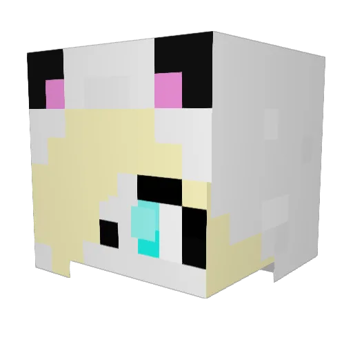 Dogboy13579 Minecraft avatar head, 3D render