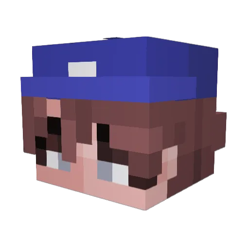 Dogbro2429 Minecraft avatar head, 3D render