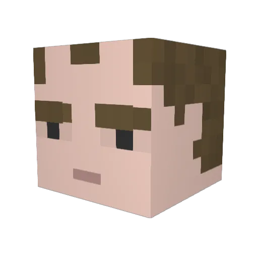 Dogbroom Minecraft avatar head, 3D render