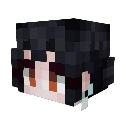 Doge162 Minecraft avatar head, 3D render