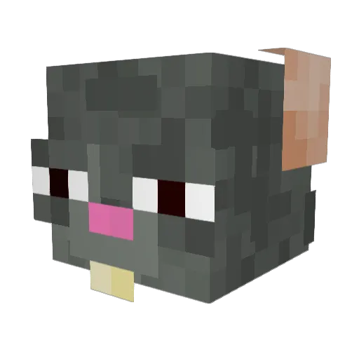 Doge2k Minecraft avatar head, 3D render