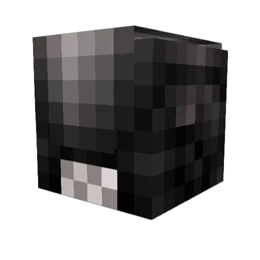 Doge59 Minecraft avatar head, 3D render