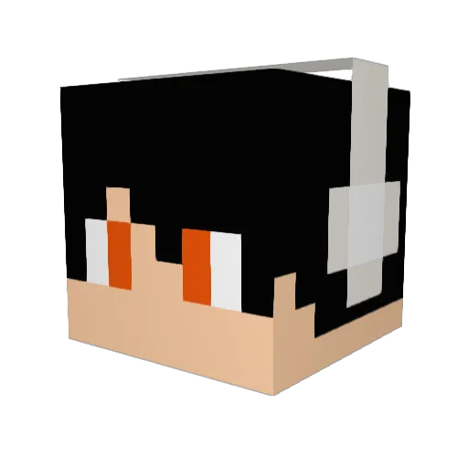 Doge7Lu Minecraft avatar head, 3D render