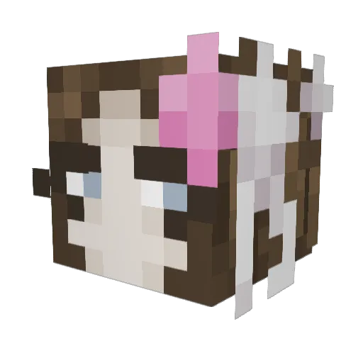 Doge9105 Minecraft avatar head, 3D render