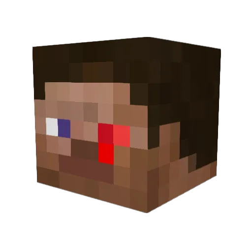 Doge98 Minecraft avatar head, 3D render