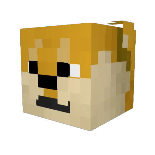 DogeBR Minecraft avatar head, 3D render