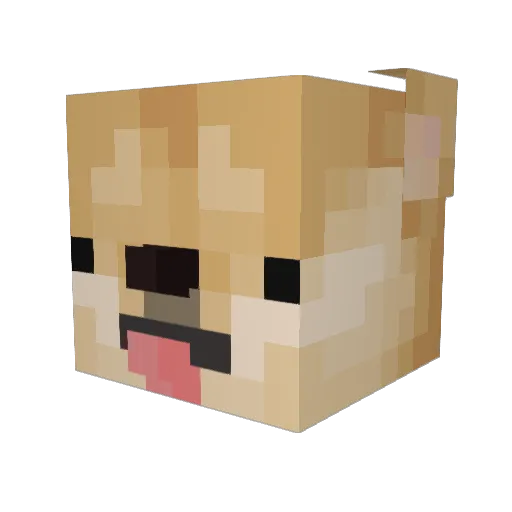 DogeBel09 Minecraft avatar head, 3D render