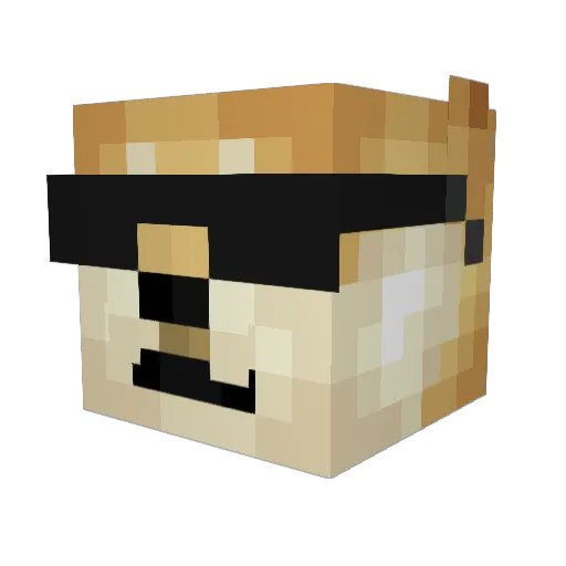 DogeBruh Minecraft avatar head, 3D render