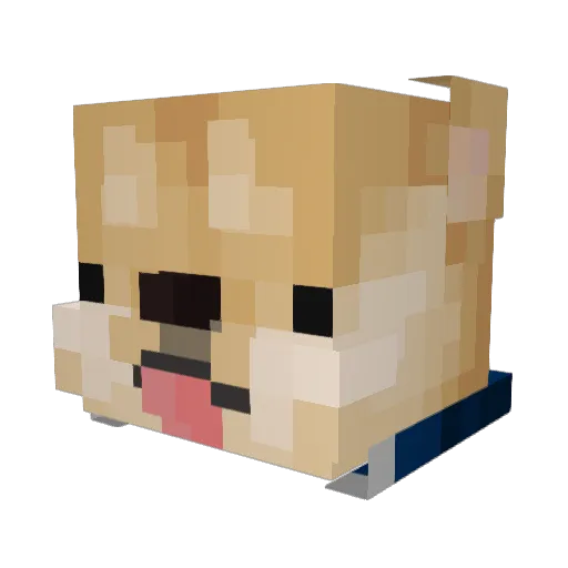 DogeKnowz Minecraft avatar head, 3D render