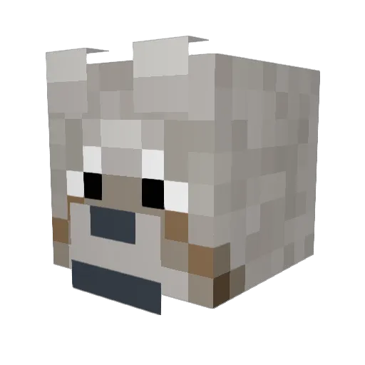 DogeMasterIzCool Minecraft avatar head, 3D render
