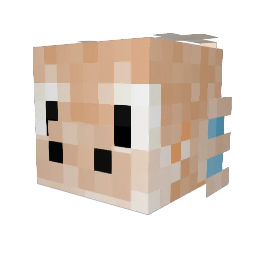 DogeMcMeme360 Minecraft avatar head, 3D render