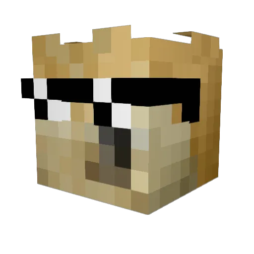 DogeOrTrain Minecraft avatar head, 3D render