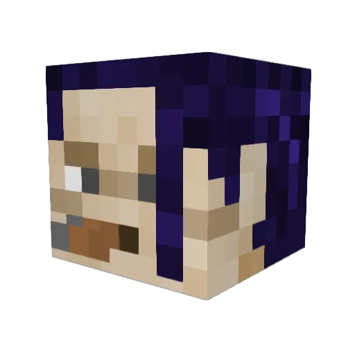 DogeQuizz Minecraft avatar head, 3D render