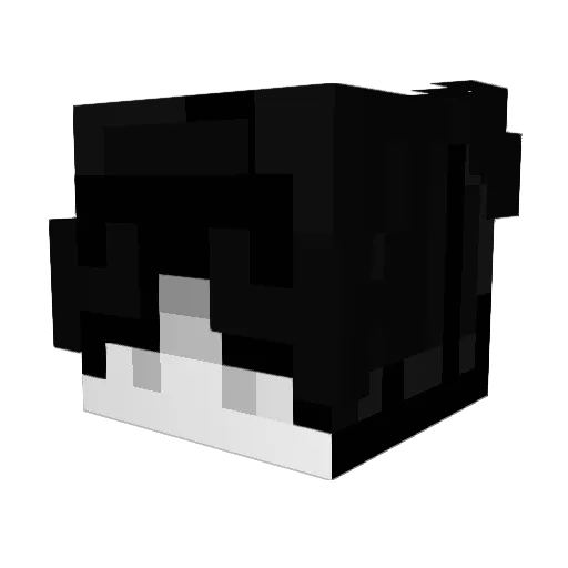 DogeRiska Minecraft avatar head, 3D render