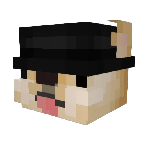 DogeShee Minecraft avatar head, 3D render