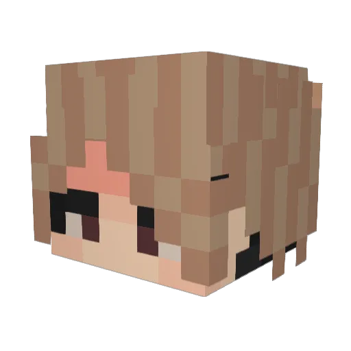 DogeSpy Minecraft avatar head, 3D render