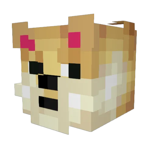 DogeTheBeast Minecraft avatar head, 3D render